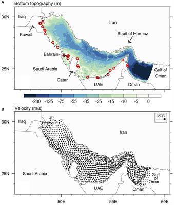 Multiple Salinity Equilibria and Resilience of Persian/Arabian Gulf Basin Salinity to Brine Discharge